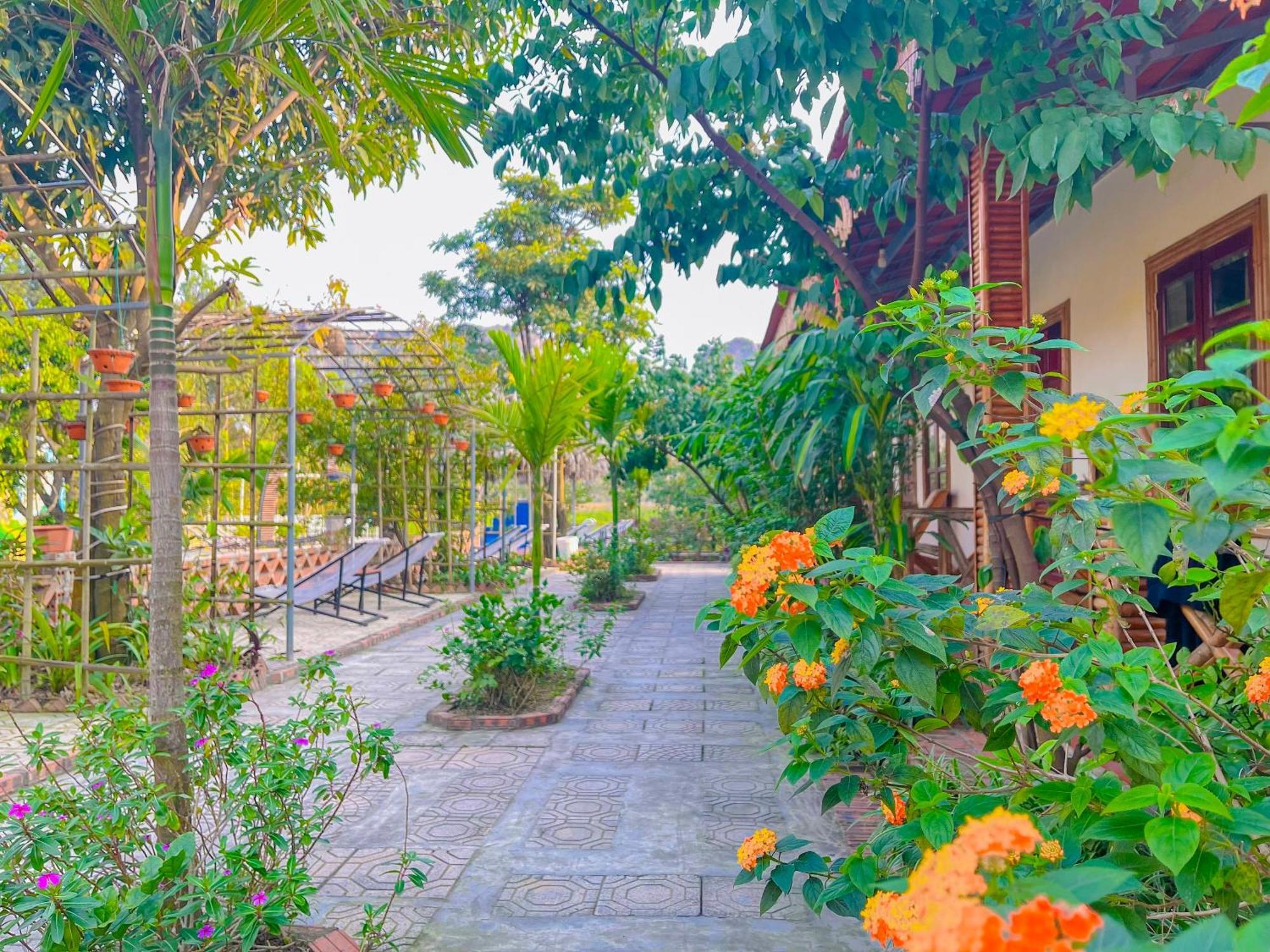 Trang An Quynh Trang Happy Homestay & Garden نينه بينه المظهر الخارجي الصورة
