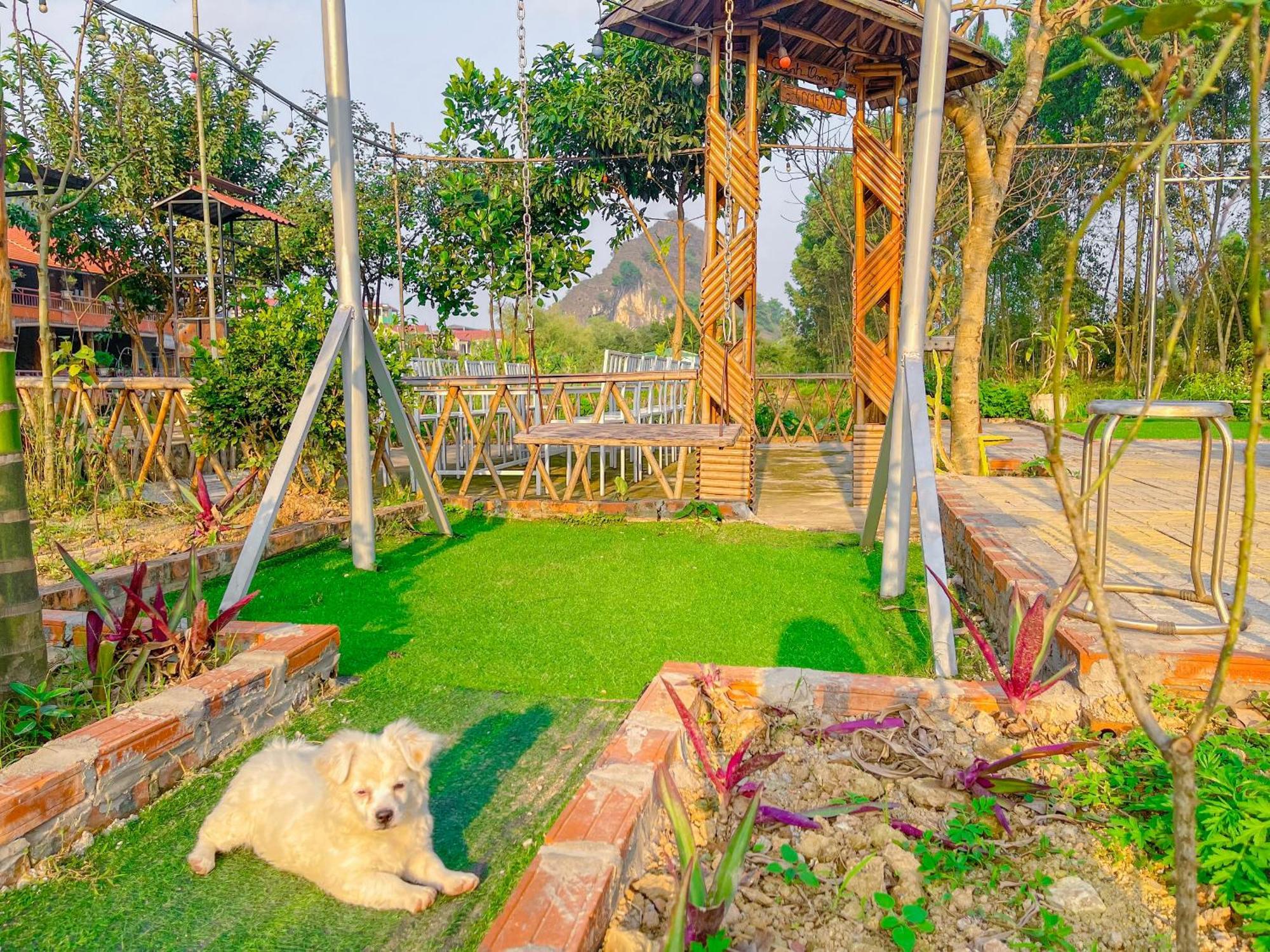 Trang An Quynh Trang Happy Homestay & Garden نينه بينه المظهر الخارجي الصورة