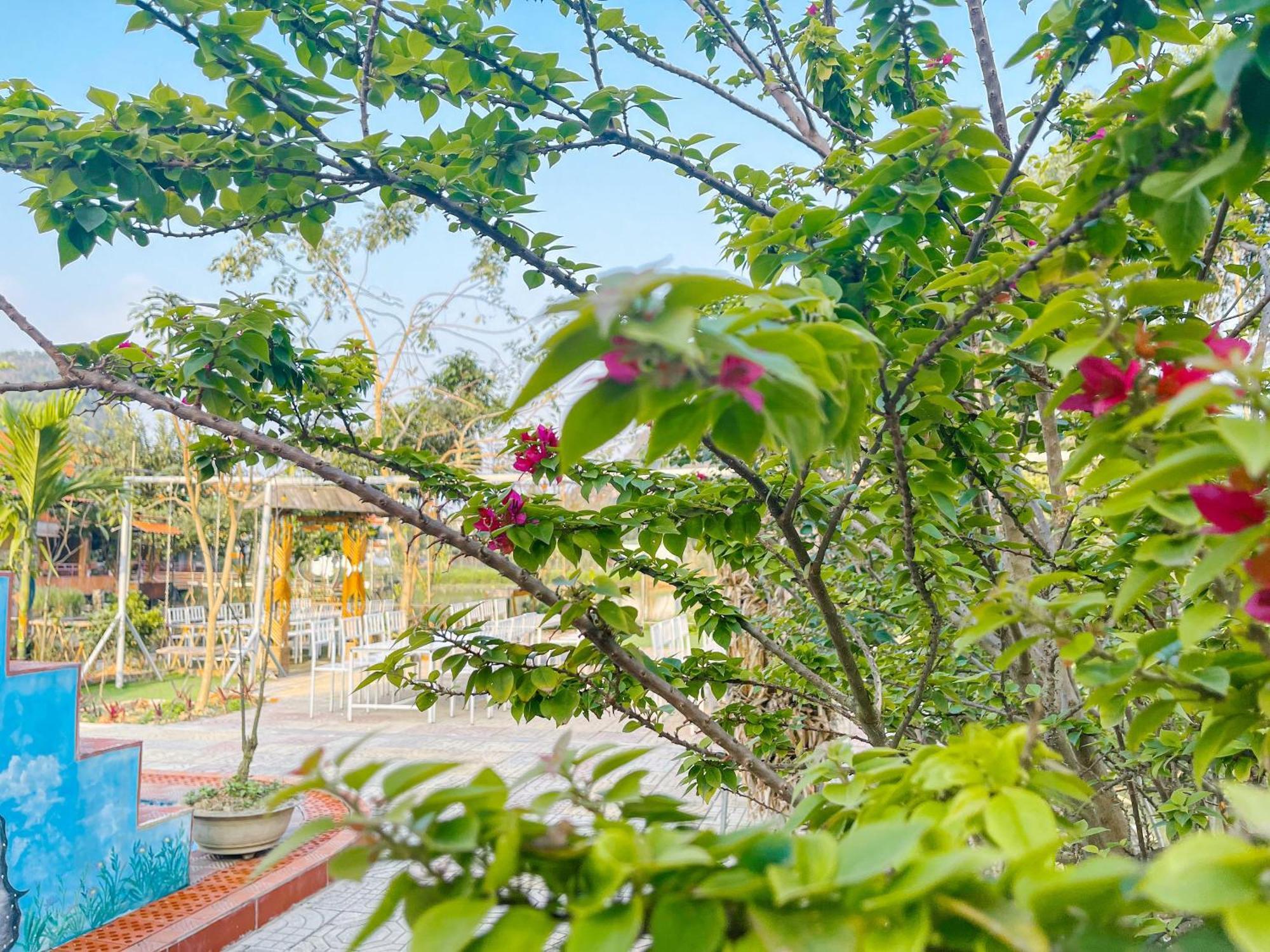 Trang An Quynh Trang Happy Homestay & Garden نينه بينه المظهر الخارجي الصورة