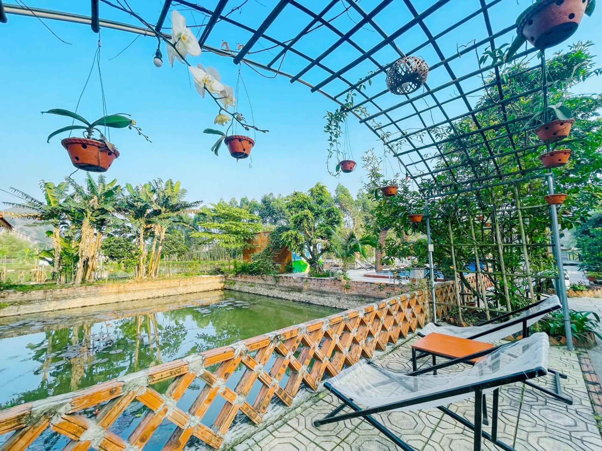 Trang An Quynh Trang Happy Homestay & Garden نينه بينه المظهر الخارجي الصورة